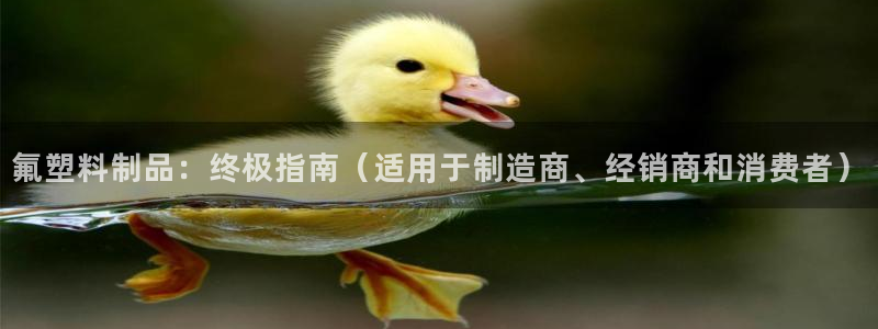 太阳集团网站官网：氟塑料制品：终极指南（适用于制造商、经销商