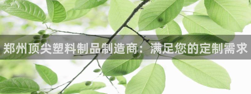 太阳成集团是干嘛的：郑州顶尖塑料制品制造商：满足您的定制需求