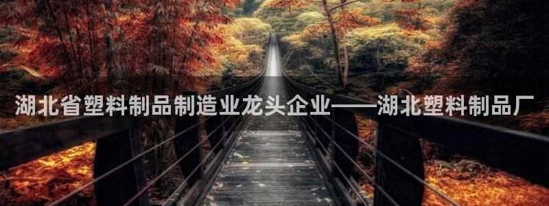 太阳集团城网站2007：湖北省塑料制品制造业龙头企业——湖北