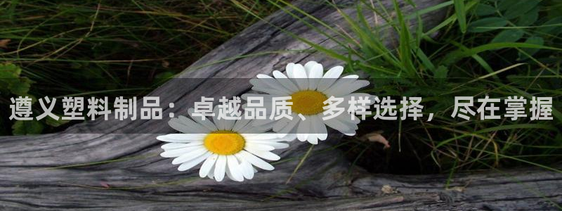 太阳集团城娱8722官方网站：遵义塑料制品：卓越品质、多样选