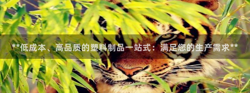 太阳集团2018登录网址查询：**低成本、高品质的塑料制品一