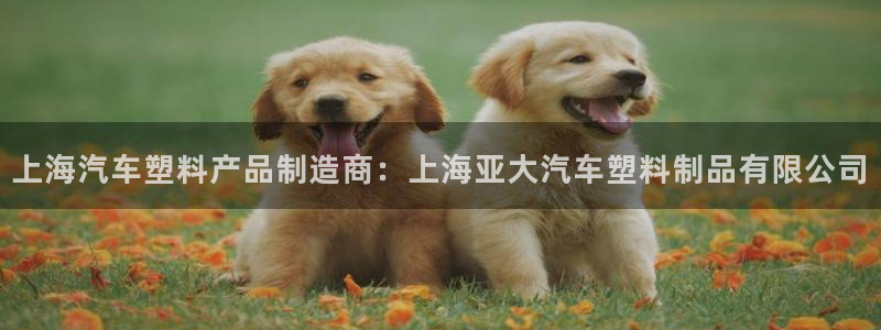 太阳集团城网址古天乐：上海汽车塑料产品制造商：上海亚大汽车塑