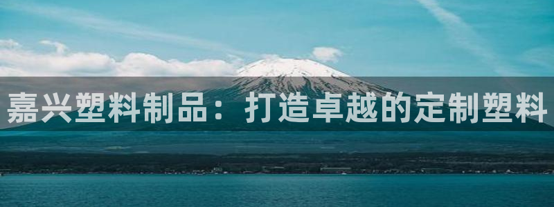 太阳成集团tyc234cc投资控股集团：嘉兴塑料制品：打造卓