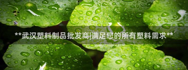 太阳诚集团有限公司：**武汉塑料制品批发商|满足您的所有塑料