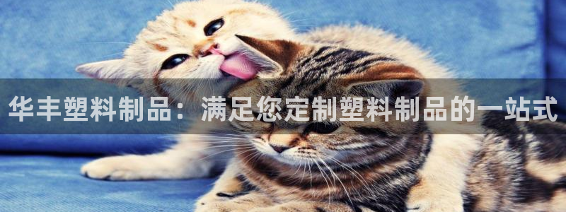 太阳gg注册/登录：华丰塑料制品：满足您定制塑料制品的一站式