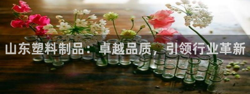 太阳影视公司：山东塑料制品：卓越品质，引领行业革新