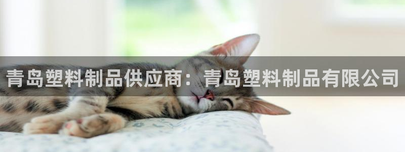 ag太阳集团：青岛塑料制品供应商：青岛塑料制品有限公司