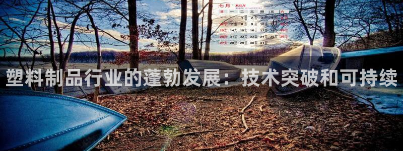 太阳集团游戏官方网址8827：塑料制品行业的蓬勃发展：技术突