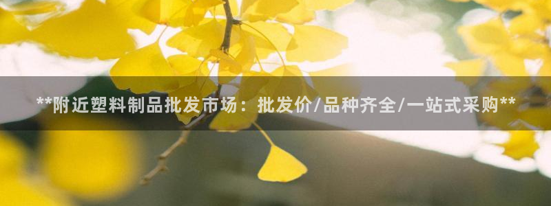 ag太阳集团：**附近塑料制品批发市场：批发价/品种齐全/一