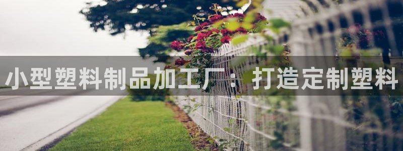太阳app下载网址进入：小型塑料制品加工厂：打造定制塑料