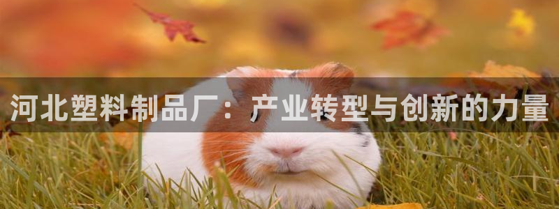 太阳集团唯一值得信赖网：河北塑料制品厂：产业转型与创新的力量