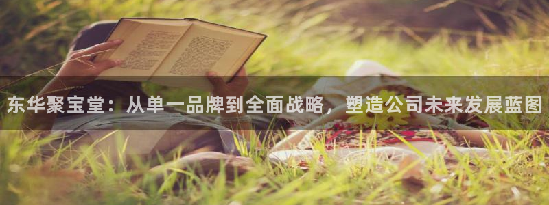 太阳集团2007：东华聚宝堂：从单一品牌到全面战略，塑造公司
