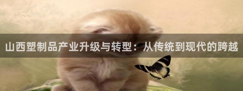 太阳集团股份有限公司招聘：山西塑制品产业升级与转型：从传统到