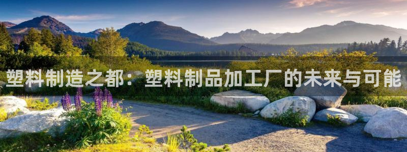 太阳地产集团：塑料制造之都：塑料制品加工厂的未来与可能