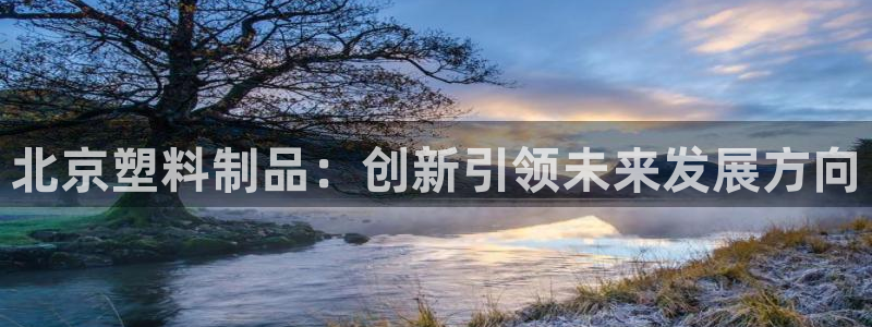 太阳成集团控股官网：北京塑料制品：创新引领未来发展方向