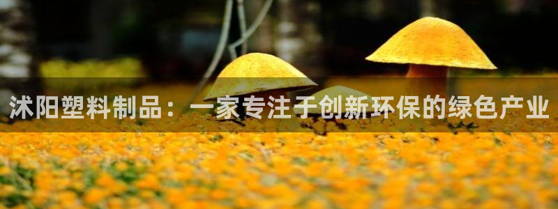 太阳商城贵宾会：沭阳塑料制品：一家专注于创新环保的绿色产业