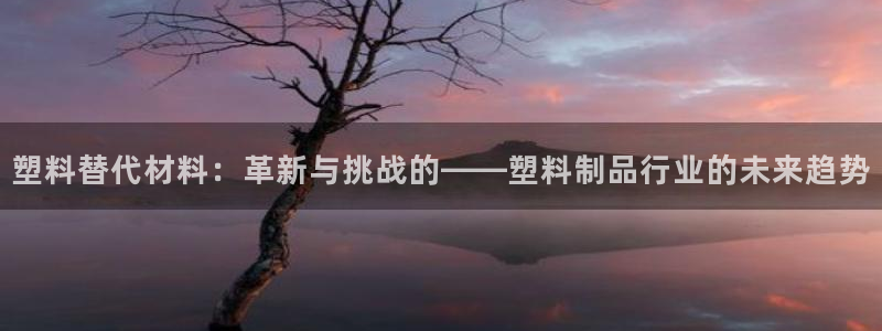 曲靖红太阳集团：塑料替代材料：革新与挑战的——塑料制品行业的