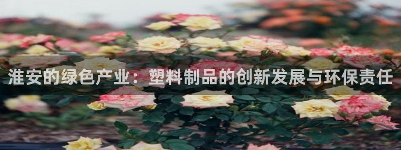 太阳游戏城：淮安的绿色产业：塑料制品的创新发展与环保责任