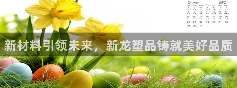 太阳集团入口官网首页：新材料引领未来，新龙塑品铸就美好品质