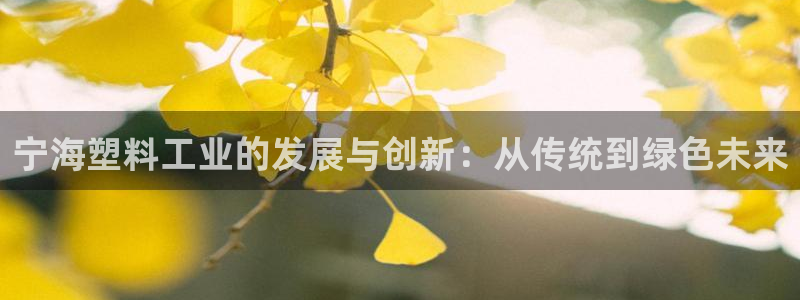 太阳集团董事长是谁?：宁海塑料工业的发展与创新：从传统到绿色