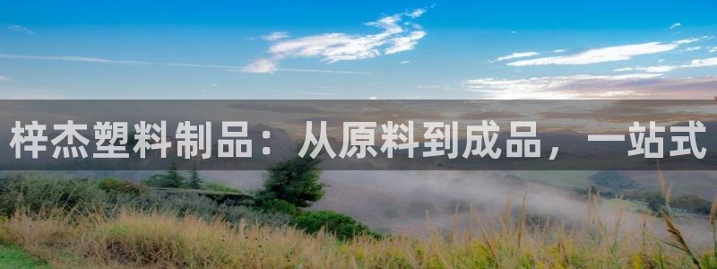 太阳1城集团网址：梓杰塑料制品：从原料到成品，一站式