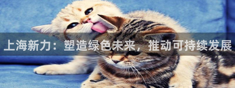 太阳集团怎么样：上海新力：塑造绿色未来，推动可持续发展