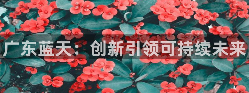 太阳集团城2017网站：广东蓝天：创新引领可持续未来