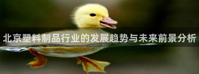 太阳手机游戏：北京塑料制品行业的发展趋势与未来前景分析