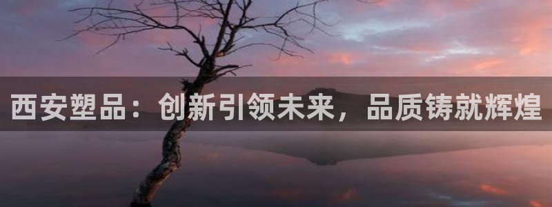 太阳成集团下载：西安塑品：创新引领未来，品质铸就辉煌