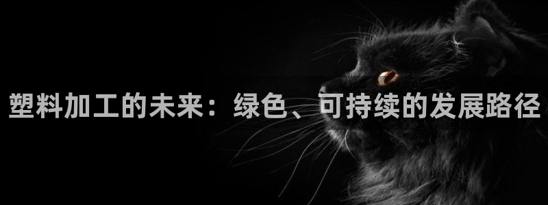 太阳成集团游戏：塑料加工的未来：绿色、可持续的发展路径