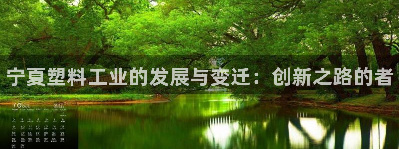 太阳成集团tyc234cc官网：宁夏塑料工业的发展与变迁：创