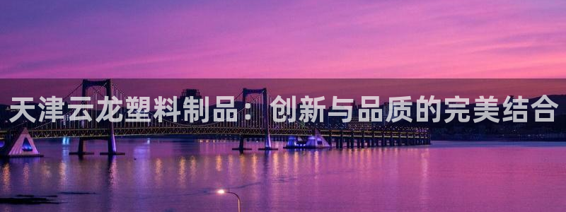 2007so太阳集团下载：天津云龙塑料制品：创新与品质的完美
