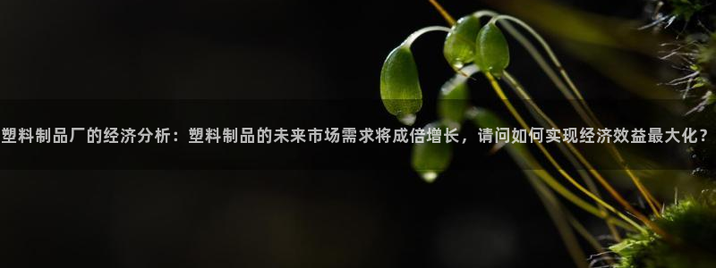 太阳集团2018登录网址查询：塑料制品厂的经济分析：塑料制品