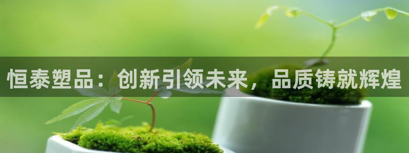 太阳成集团是什么：恒泰塑品：创新引领未来，品质铸就辉煌