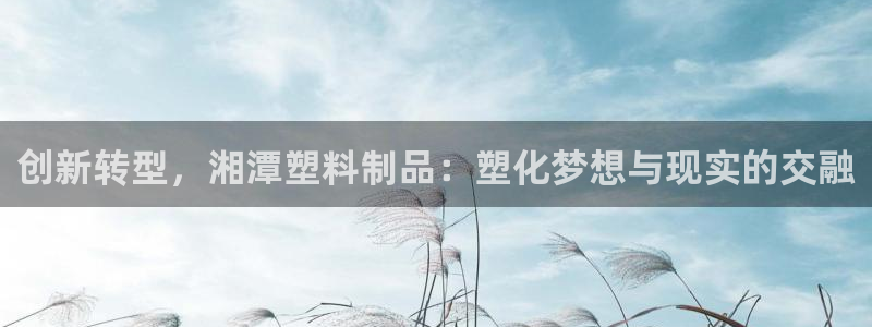 太阳股份有限公司：创新转型，湘潭塑料制品：塑化梦想与现实的交