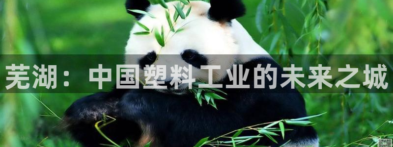 太阳成集团tyc234cc福利：芜湖：中国塑料工业的未来之城