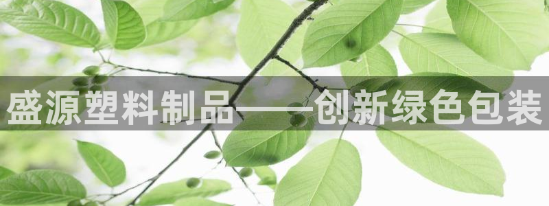 太阳集团公司董事长：盛源塑料制品——创新绿色包装