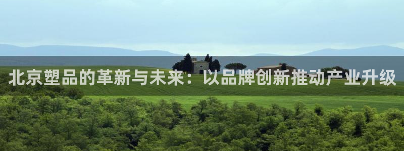 太阳成集团app：北京塑品的革新与未来：以品牌创新推动产业升