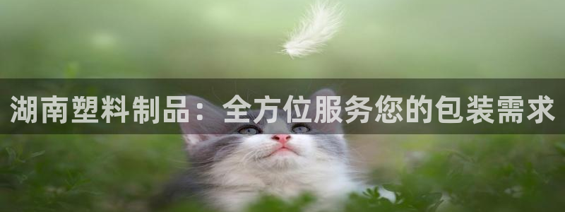 古天乐和太阳集团什么关系：湖南塑料制品：全方位服务您的包装需