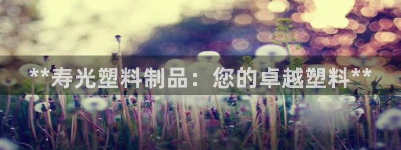 太阳集团2018登录网址查询：**寿光塑料制品：您的卓越塑料