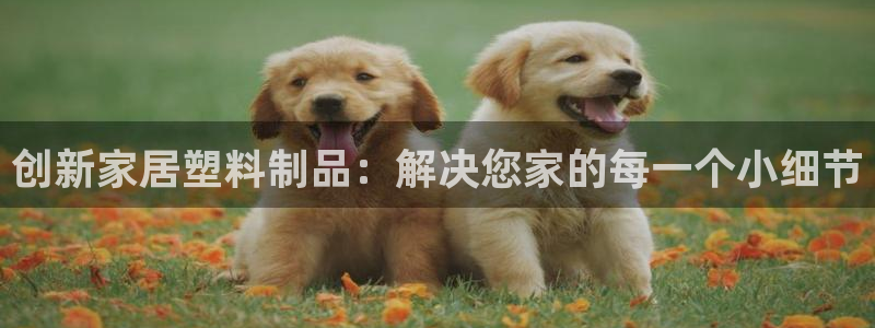 2138cn太阳集团古天乐·网上娱乐：创新家居塑料制品：解决