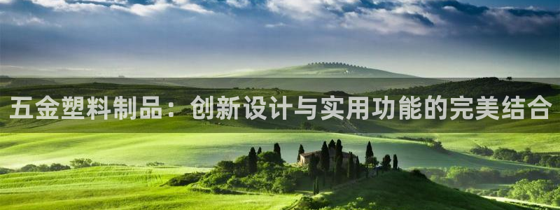 太阳成集团老板：五金塑料制品：创新设计与实用功能的完美结合