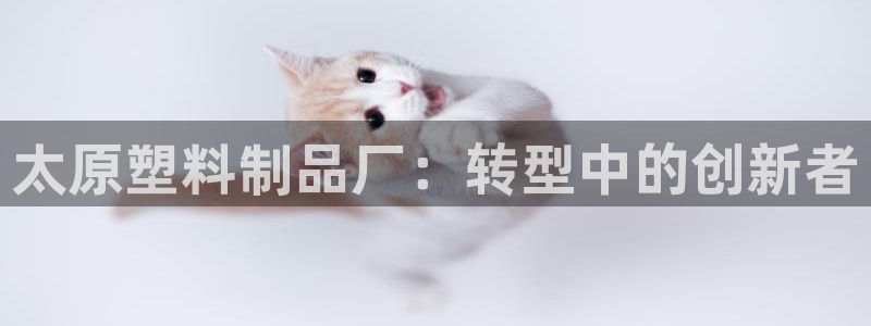 太阳诚集团是干什么的：太原塑料制品厂：转型中的创新者