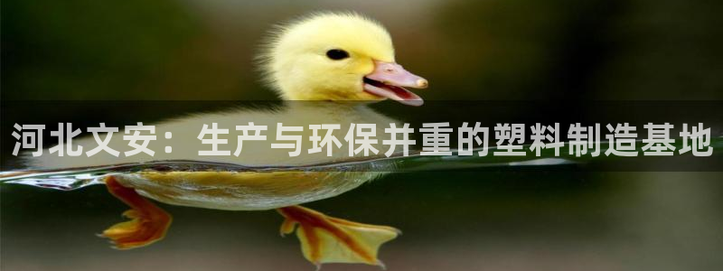 太阳集团tcy8722贵宾会：河北文安：生产与环保并重的塑料