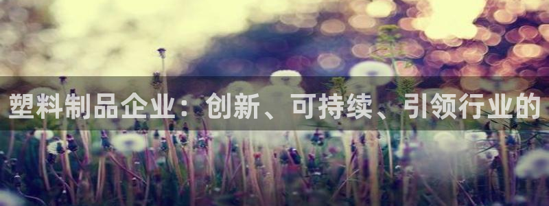 太阳集团sungroup：塑料制品企业：创新、可持续、引领行