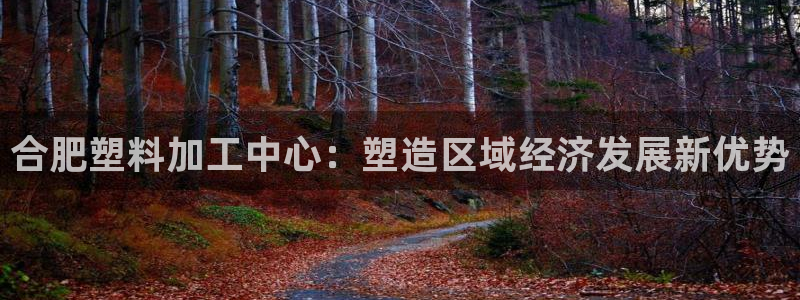 太阳集团官网导航下载：合肥塑料加工中心：塑造区域经济发展新优