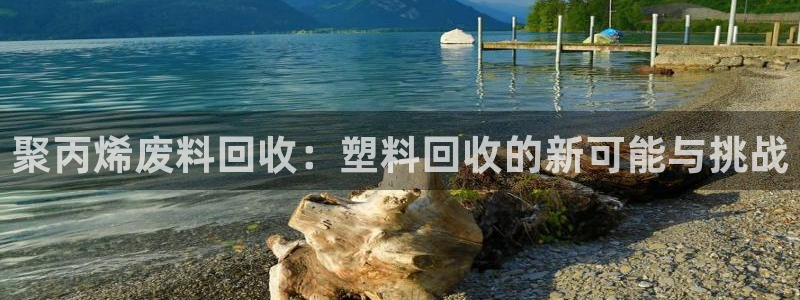 太阳集团注册就送38：聚丙烯废料回收：塑料回收的新可能与挑战