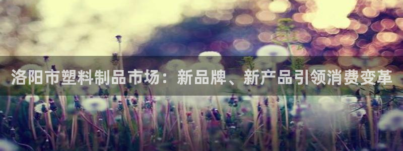 太阳集团电子游戏大全：洛阳市塑料制品市场：新品牌、新产品引领