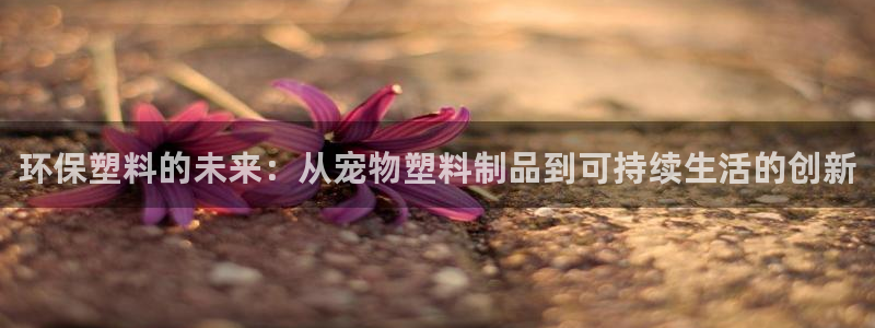 太阳集团的老总是谁：环保塑料的未来：从宠物塑料制品到可持续生