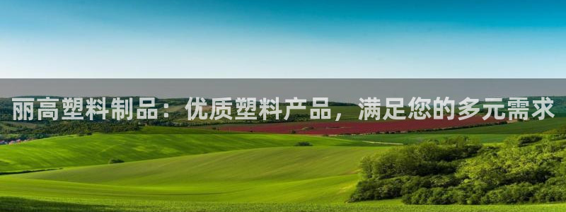 太阳集团网站多少：丽高塑料制品：优质塑料产品，满足您的多元需